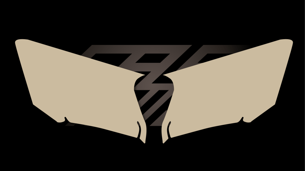 fast grip gasgas 50 mc 2024 protections plaques latérales full grip_Plan de travail 1