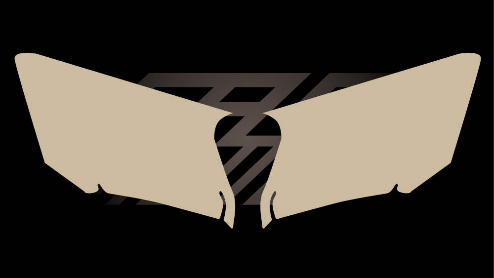 fast grip ktm 50 sx 2024 protections plaques latérales full grip_Plan de travail 1