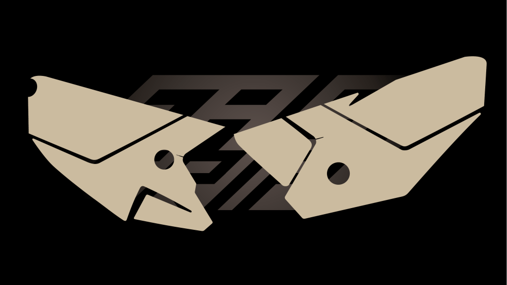 grip plaque latérale honda 250 300 400 450 crf rx 2025 full fast grip