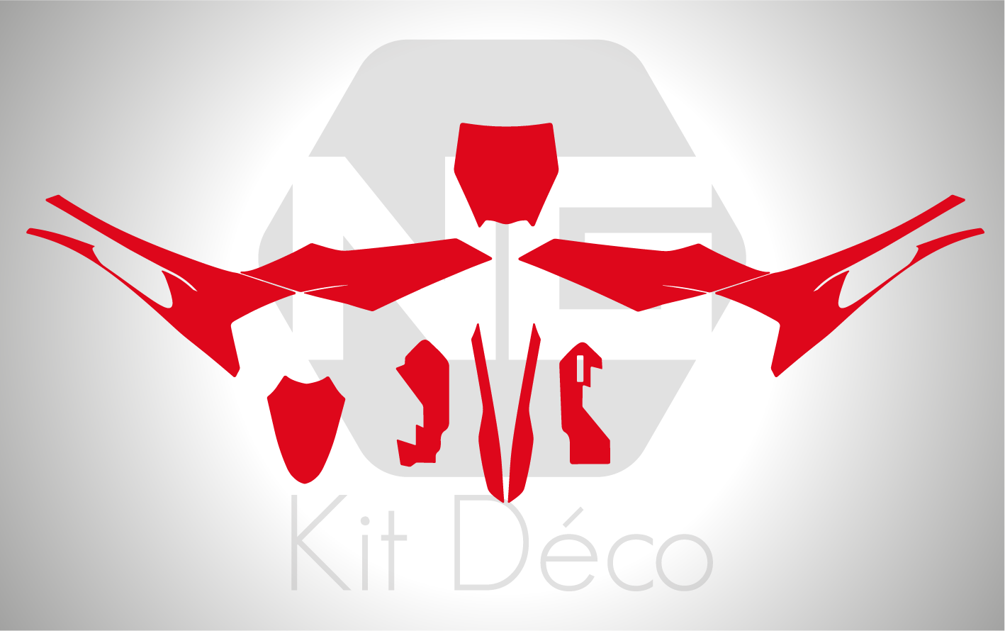gabarit template rfn sx-e sxe 8 vectoriel pdf ng kit déco
